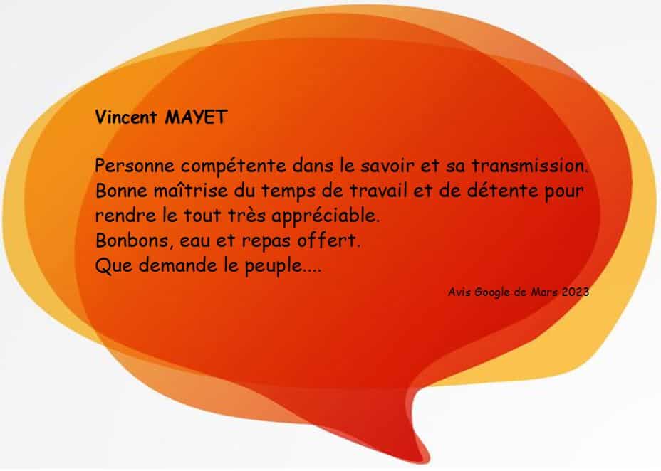 Avis Google 2023 Vincent